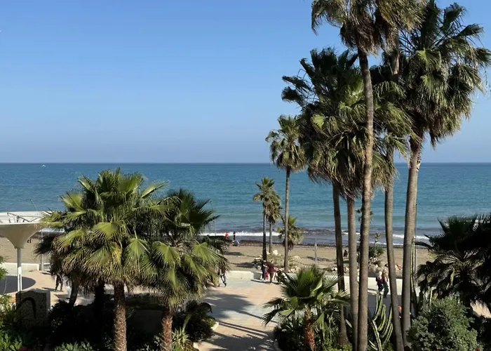 Suiteline - Sealine *